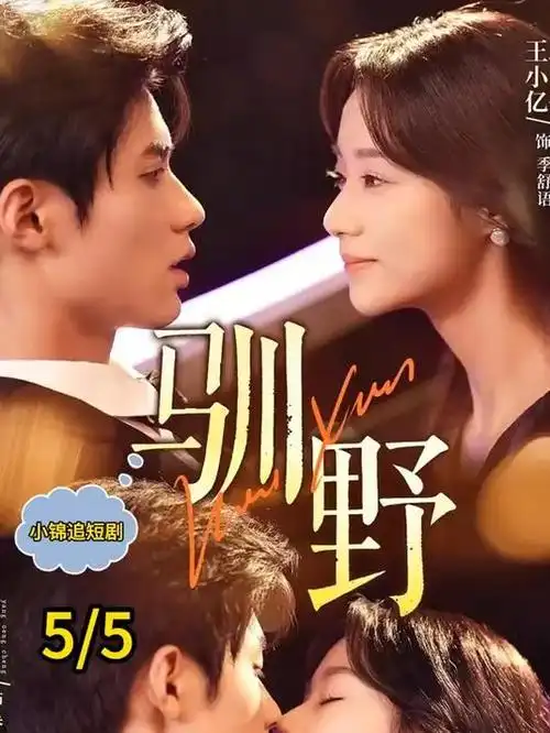 二十九 都市 2024 杨幂/白宇